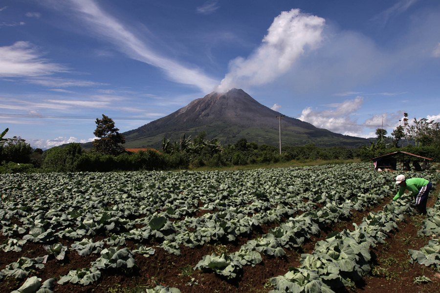 reaches home electricity your how LakeToba.com Sinabung   Mount